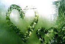 久悠悠久影视免费在线看最新（悠久久深圳网络科技有限公司）